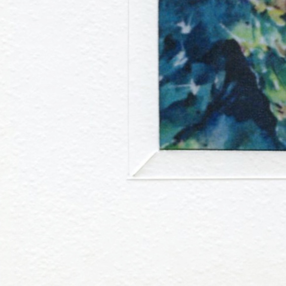 Cactus Flower Print In Lightweight Presentation Mat - Prickly Pear - Picture 5 of 5